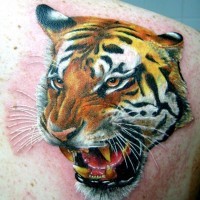 Garbiges Tattoo mit Tiger von Alekspunkttattoos