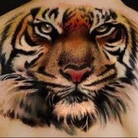 Farbiges Tattoo mit Tigerkopf