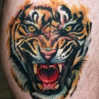 Roaring tiger tattoo on leg