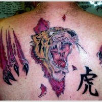 Tatuaje en la espalda,
tigre feroz  que rasga la piel