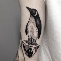 Tatuaje en el brazo, pingüino bonito en la piedra