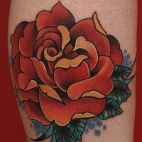 Traditional colored and painted big rose tattoo on leg