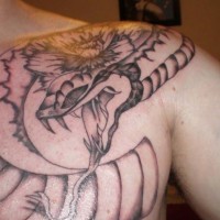 Traditional japanese snake tattoo on chest