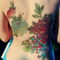Traditional painted colored chrysanthemum flowers tattoo on back with insects