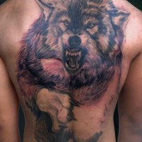 Tatuaggio enorme sulla schiena il lupo che attacca