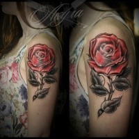 Traditionally colored old school style red rose tattoo on girl's shoulder