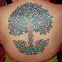 albero con modello celtico in radici tatuaggio sulla schiena