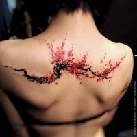 Tremendous colored detailed blossoming sakura branch tattoo on woman's upper back