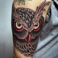 Tremendous traditional detailed colored wise owl's head tattoo on shoulder