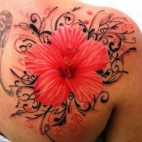 Tatuaggio colorato  sulla spalla l'ibisco rosso & i disegni