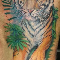 Tiger lying in thickets tattoo