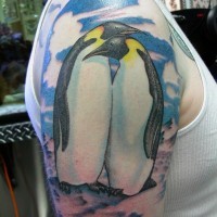 due bellissimi pinguini su giaccio tatuaggio su spalla