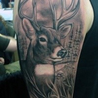Typical accurate looking colored shoulder tattoo of cute elk in forest