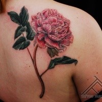 Typisches präzis gemaltes detailliertes Rücken Tattoo mit der Rose Blume