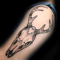 Typical black ink animal skull tattoo on shoulder