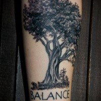 Typical colored forearm tattoo of big tree stylized with lettering