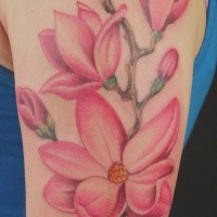 Typical colored shoulder tattoo of incredible flowers