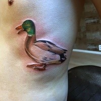 Typical illustrative style colored side tattoo of duck