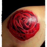 Typical painted red colored rose tattoo on shoulder