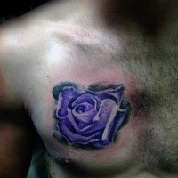 Typical violet colored chest tattoo of rose flower