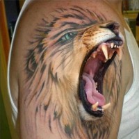 Unbelievable half cartoon half 3D realistic colored roaring lion tattoo on shoulder