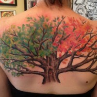Tatuaje en la espalda alta, 
árbol grueso con hojas de colores verde y rojo