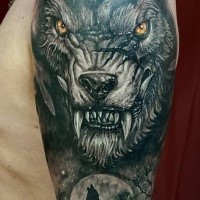 New school style colored shoulder tattoo of evil wolverine