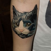 Ungewöhnliches mehrfarbiges Unterarm Tattoo mit Katzenkopf