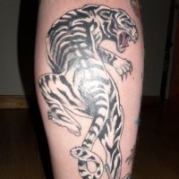 Unusual painted colored rare white tiger tattoo on leg muscle
