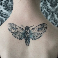 Tatuaje en la espalda,
polilla gris horrorosa
