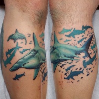 Usual designed and colored hammerhead sharks tattoo on leg