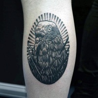 Usual painted in dotwork style leg tattoo of pigeon portrait