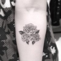 Usual painted little black ink forearm tattoo of three rose flowers