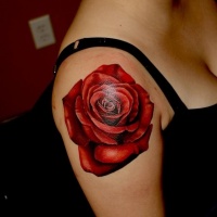 Usual red colored big rose tattoo on shoulder