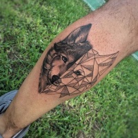 Usual separated realistic wolf tattoo with sketch wolf on leg