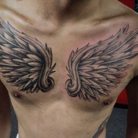 Usual style painted 3D like black and white wings tattoo on chest