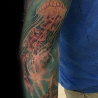 Usual style painted and colored big jellyfish with turtle tattoo on sleeve