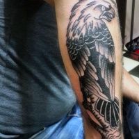 Tatuaje en el antebrazo,
águila enfadada en la rama, colores negro blanco