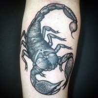 Tatuaje en el antebrazo, escorpión grande simple, tinta negra