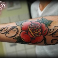Usual style red colored rose tattoo on arm