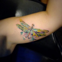 Very beautiful looking colorful dragonfly tattoo on biceps