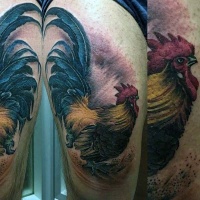 bellissima dipinto realistico gallo tatuaggio su coscia
