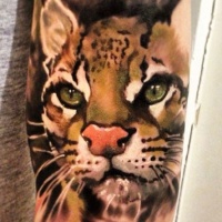Very nice head of a wild cat tattoo on half sleeve