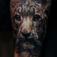 Sehr schönes Leopardenkopf Tattoo von Domantas Parvainis