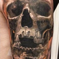 Very realistic big black ink old skull tattoo on shoulder