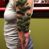 Very realistic colored big American tree tattoo on sleeve
