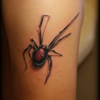 Very realistic colored big creepy spider tattoo on shoulder