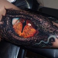 Very realistic looking amazing detailed and colored dragon eye tattoo on arm