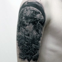 Tatuaje en el brazo, águila atenta con hojas de arce , dibujo negro blanco