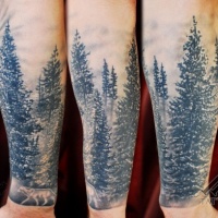 Very realistic looking black and white morning forest with wolf tattoo on sleeve
